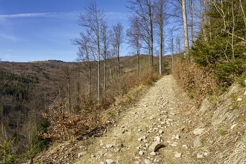 Przed nami widoczna po lewej Mała Racza a po środku szczyt Wielkiej Raczy
