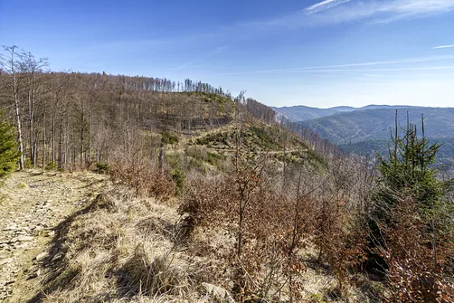 Obracając się za siebie doskonale widoczna jest przebyta dotąd trasa