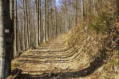 Kontynujemy marsz na Wielką Raczę żółtym szlakiem