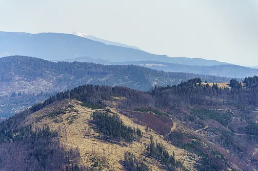 Widok z Wielkiej Raczy w kierunku północno-wschodnim. W oddali Babia Góra