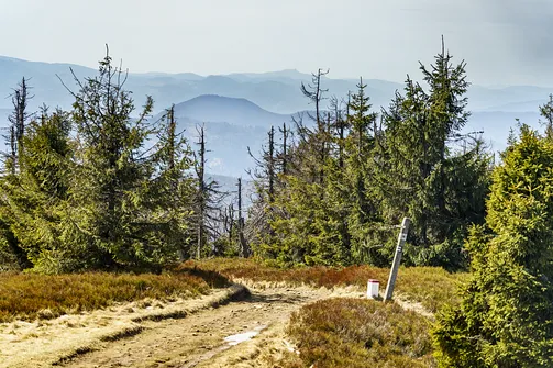 Wielka Racza - trasa z Rycerki Górnej przez Przełęcz Przegibek