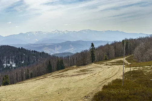 Odcinek szlaku pomiędzy Wielką a Mała Raczą