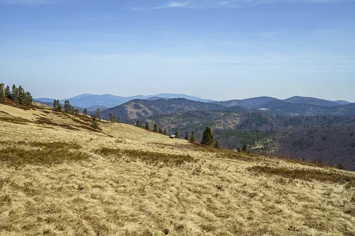 Hala na Małej Raczy