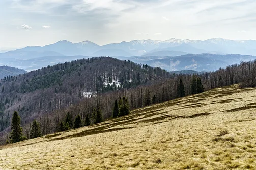 Widok z hali na Małej Raczy: zalesiony szczyt to Orło a w oddali szczyty Małej Fatry