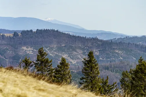 Babia Góra z hali na Małej Raczy