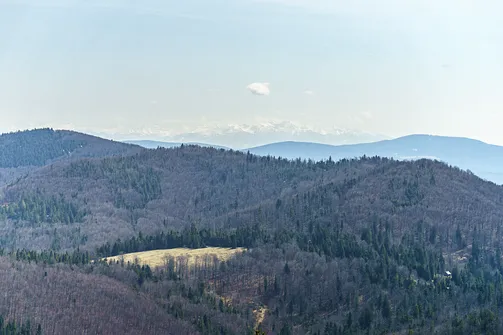 Tatry widziane z hali na zboczu Małej Raczy