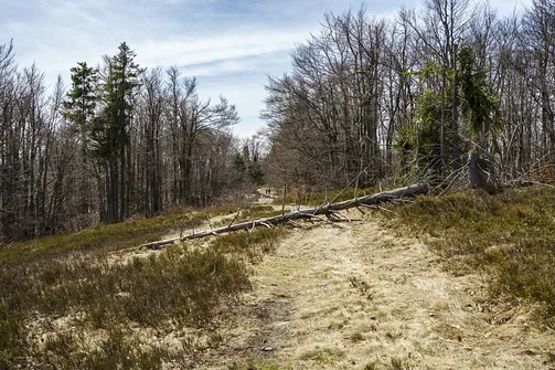 Szlak na Małą Raczę