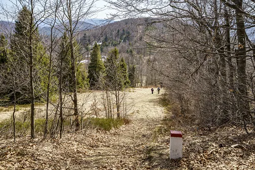 Graniczna ścieżka pomiędzy Mała Raczą a szczytem Orło