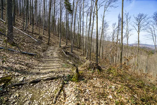 Wielka Racza - trasa z Rycerki Górnej przez Przełęcz Przegibek