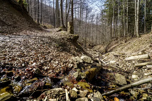 Wielka Racza - trasa z Rycerki Górnej przez Przełęcz Przegibek