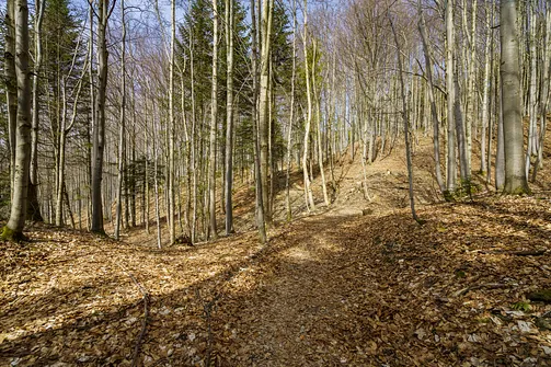Wielka Racza - trasa z Rycerki Górnej przez Przełęcz Przegibek