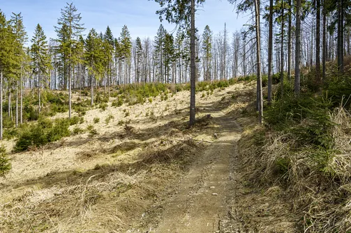 Wielka Racza - trasa z Rycerki Górnej przez Przełęcz Przegibek