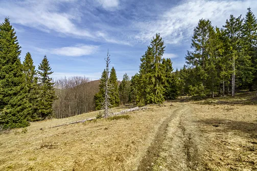 Wielka Racza - trasa z Rycerki Górnej przez Przełęcz Przegibek