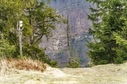 Zejście z Bendoszki Wielkiej do Rycerki Górnej …na tym i kolejnych zdjęciach
