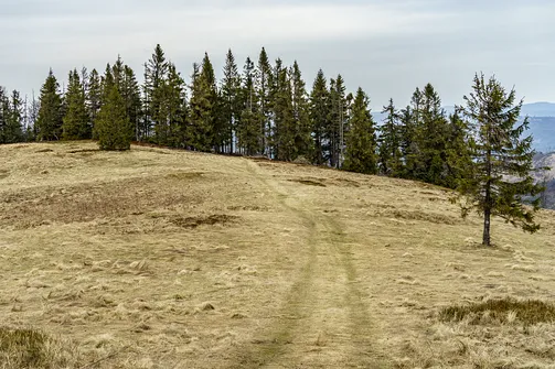 Wielka Racza - trasa z Rycerki Górnej przez Przełęcz Przegibek