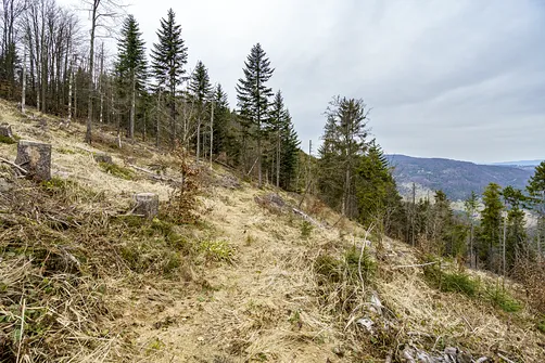Wielka Racza - trasa z Rycerki Górnej przez Przełęcz Przegibek
