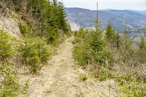 Wielka Racza - trasa z Rycerki Górnej przez Przełęcz Przegibek