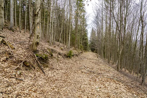 Wielka Racza - trasa z Rycerki Górnej przez Przełęcz Przegibek