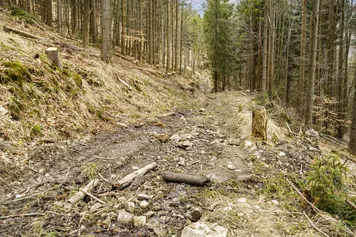 Wielka Racza - trasa z Rycerki Górnej przez Przełęcz Przegibek