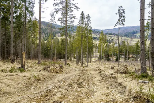Wielka Racza - trasa z Rycerki Górnej przez Przełęcz Przegibek
