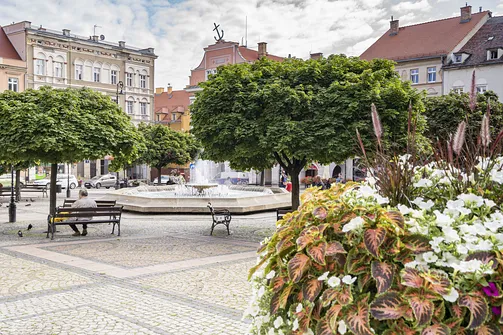 Rynek w Wałbrzychu