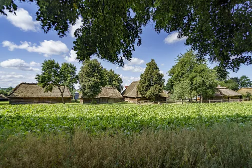 Muzeum Wsi Lubelskiej - spacer po dawnej Lubelszczyźnie