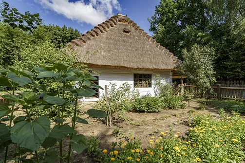 Muzeum Wsi Lubelskiej - spacer po dawnej Lubelszczyźnie