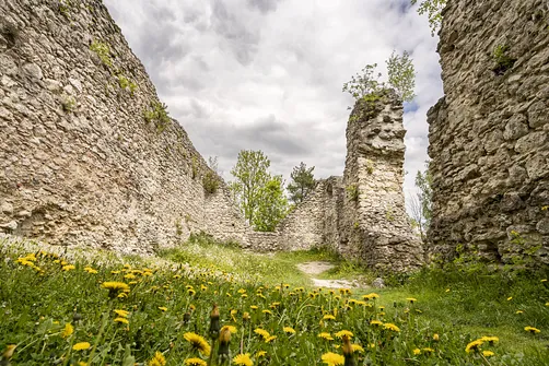 Zamek w Bydlinie - ślad średniowiecznej warowni