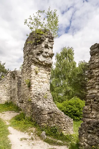 Zamek w Bydlinie - ślad średniowiecznej warowni