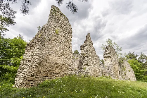Zamek w Bydlinie - ślad średniowiecznej warowni