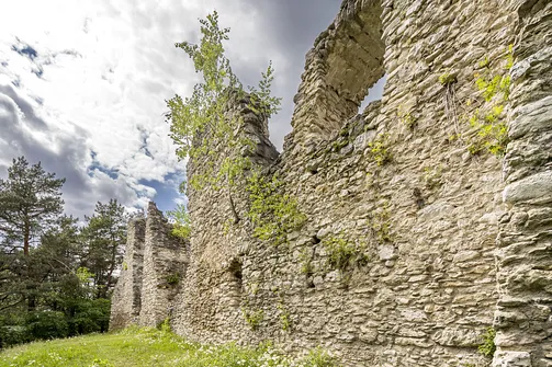 Zamek w Bydlinie - ślad średniowiecznej warowni