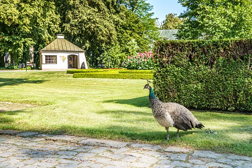 Pałac Zamoyskich w Kozłówce