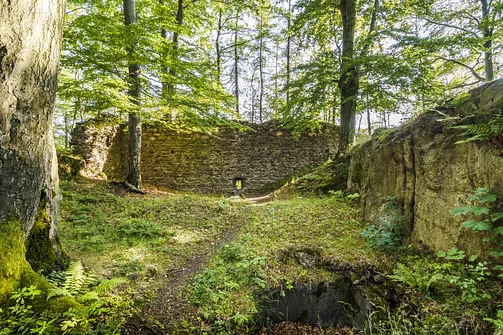 Zamek Nowy Dwór w Wałbrzychu – średniowieczna warownia na zboczu góry