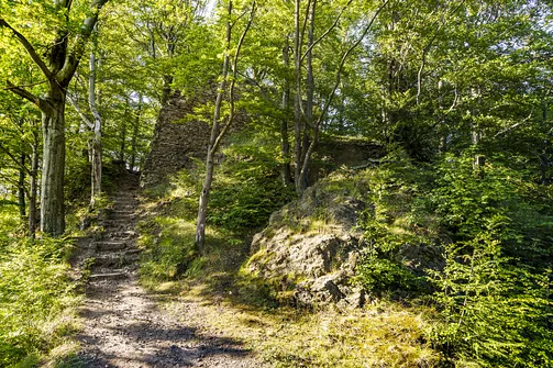 Zamek Nowy Dwór w Wałbrzychu – średniowieczna warownia na zboczu góry