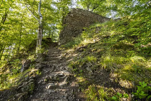 Zamek Nowy Dwór w Wałbrzychu – średniowieczna warownia na zboczu góry