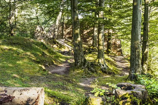 Zamek Nowy Dwór w Wałbrzychu – średniowieczna warownia na zboczu góry