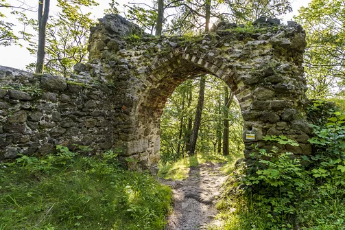 Zamek Nowy Dwór w Wałbrzychu – średniowieczna warownia na zboczu góry