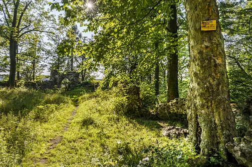 Zamek Nowy Dwór w Wałbrzychu – średniowieczna warownia na zboczu góry