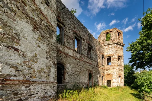 Pałac Tarłów w Podzamczu Piekoszowskim