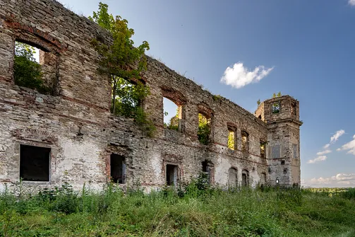 Pałac Tarłów w Podzamczu Piekoszowskim