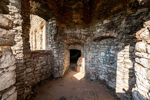 Pałac Tarłów w Podzamczu Piekoszowskim