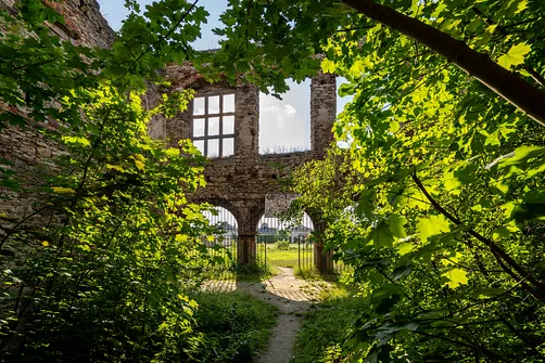 Pałac Tarłów w Podzamczu Piekoszowskim