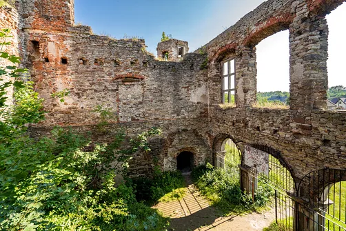 Pałac Tarłów w Podzamczu Piekoszowskim