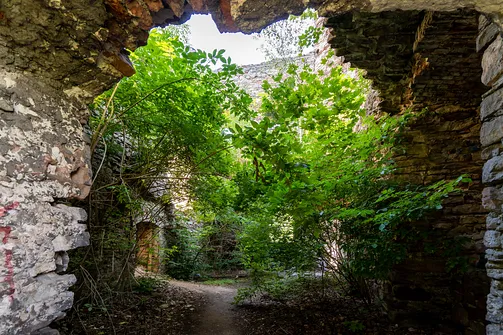 Pałac Tarłów w Podzamczu Piekoszowskim