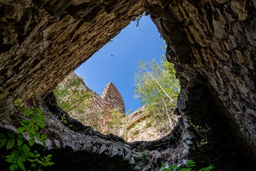 Pałac Tarłów w Podzamczu Piekoszowskim