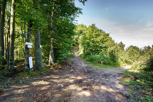 Lubań - widokowy szczyt Gorców z wieżą widokową