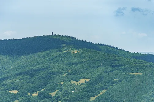 Wieża widokowa na Gorcu widziana ze szczytu Lubania