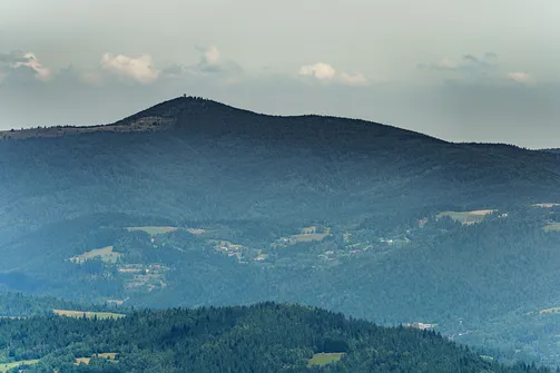 Widok na Mogielice i wieżę widokową na jej szczycie ze szczytu Lubania