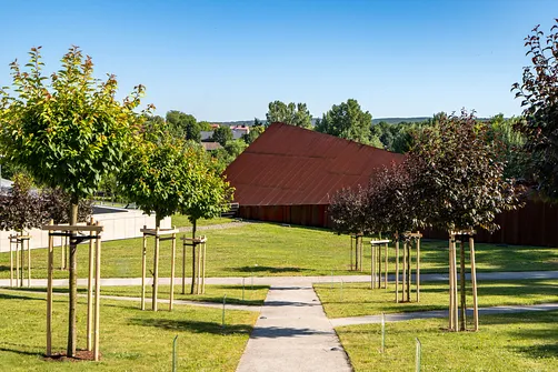 Muzeum Polaków Ratujących Żydów - historia rodziny Ulmów z Markowej