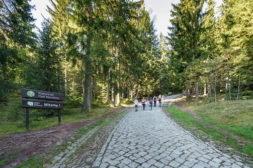 Śnieżka z Karpacza przez Pielgrzymy, Słonecznik i trzy karkonoskie schroniska